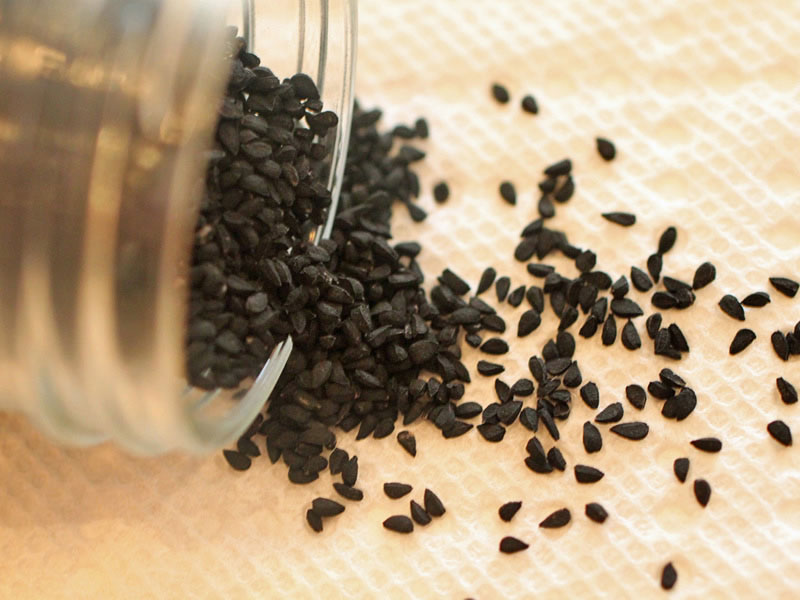 Memahami Hadis Habbatus Sauda Penawar Bagi Segala Penyakit